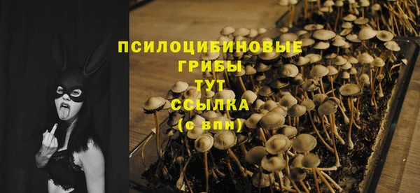 дурь Каменск-Шахтинский
