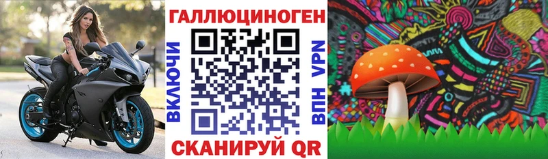 Псилоцибиновые грибы Cubensis Купить Закаменск